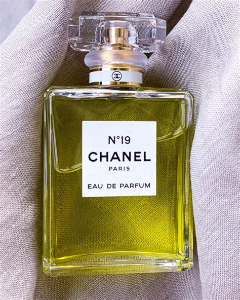 chanel paris perfume notes|perfumes like Chanel no 19.